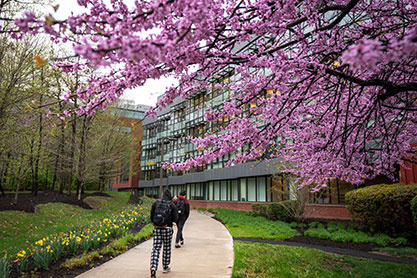 Students walking to class. Links to Gifts That Pay You Income Students walking to class. Links to Gifts That Pay You Income