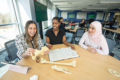 Students examining bones. Links to Gifts by Will Students examining bones. Links to Gifts by Will