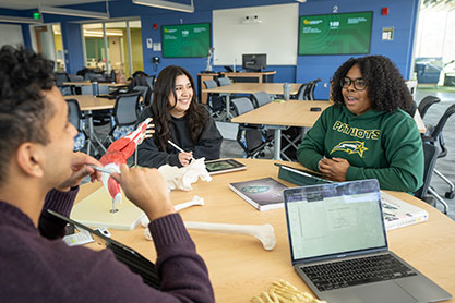 Students studying together. Links to Gifts of Appreciated Securities Students studying together. Links to Gifts of Appreciated Securities